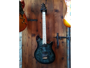 Evh Wolfgang Standard