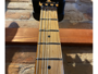 Evh Wolfgang Special Chlorine Burst