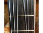 Takamine TH5C