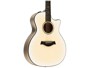 Taylor 614ce LTD, 50th Anniversary