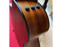 Taylor NS24CE