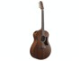Ibanez AAM54-OPN Open Pore Natural