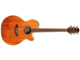Takamine GN77KCE-NAT Natural