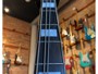 Sire Marcus Miller P-7 White