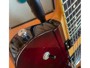 Schecter Dan Donegan Signature