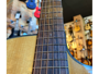 Breedlove Pursuit Dread alternative image  5