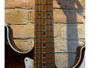Suhr Standard Plus HSS Bengal Burst