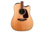 Takamine GD93CE Natural