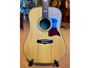 Tanglewood TW1000SRFPP alternative image  2