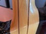 Schecter Dan Donegan Signature