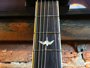 Prs Se Standard 24-08 Tobacco Sunburst immagine alternativa  5
