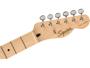 Fender Paranormal Cabronita Telecaster Thinline, Maple Fingerboard, Gold Anodized Pickguard, 2-Color Sunburst
