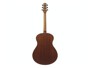 Ibanez AAM54-OPN Open Pore Natural