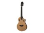 Ortega Tourplayer rtpsts-nat alternative image  2