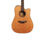 Takamine P3DC immagine alternativa  1