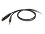 Die Hard DHG210 Cavo Jack Stereo - XLR F 5mt immagine alternativa  1