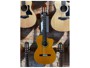 Takamine TH5C