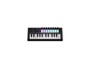 Novation Launchkey Mini 25 MK4 alternative image  1