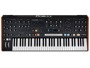 Moog Music Muse