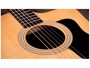 Taylor 110CE Sapele / Spruce