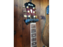Ibanez AEL20E