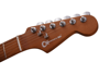 Charvel Pro-Mod DK24 HSS 2PT CM Ash, Caramelized Maple Fingerboard, Red Ash