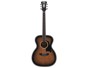 D'angelico Premier Tammany Aged burst alternative image  2