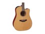 Takamine TAK-P3DC-12