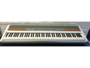 Korg SP250