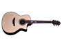 Crafter PG-G-1000CE