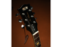 Fgn Neo Classic LS - Heritage Darkburst