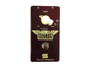 Seymour Duncan Pick up Booster