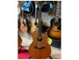 Taylor NS24CE