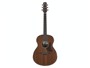 Ibanez AAM54-OPN Open Pore Natural