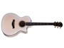 Taylor 614ce LTD, 50th Anniversary