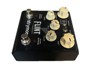Strymon FLINT immagine alternativa  1