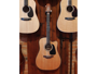 Takamine P2DC