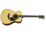 Yamaha LL16 ARE