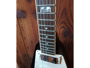 Gibson Flying V 120th 2014