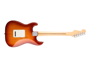 Fender American Professional Stratocaster Rw Sienna Sunburst Ash