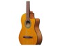 Ibanez GA3ECE-OAM Open Pore Amber