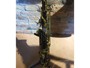 Donosti Sound Sax Alto Mib nero chiavi dorate