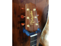 Takamine NP-15C