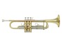 Sml VSM TP300 Tromba Sib immagine alternativa  4