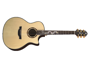 Crafter DG-G-1000CE
