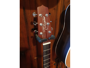 Takamine P2DC