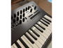 Korg Minilogue PG