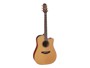 Takamine TAK-P3DC-12
