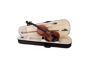 Soundsation Virtuoso 4/4 Pro Violin VPVI-14
