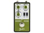 Fender Bassman Reverb